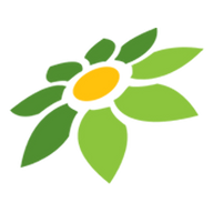 BOKEP DOOD